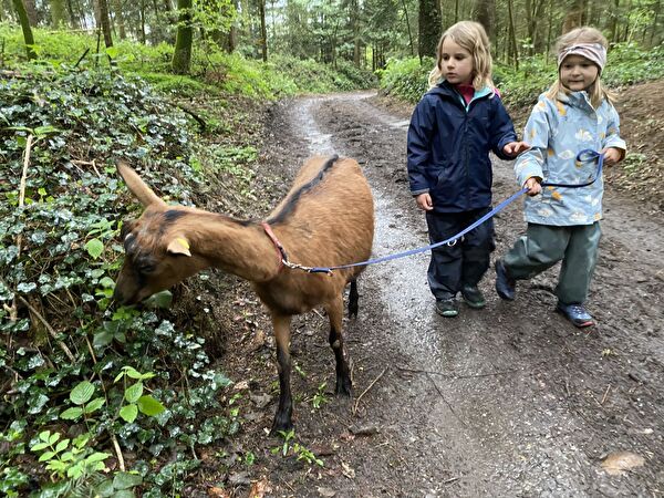 Während des Waldspaziergangs