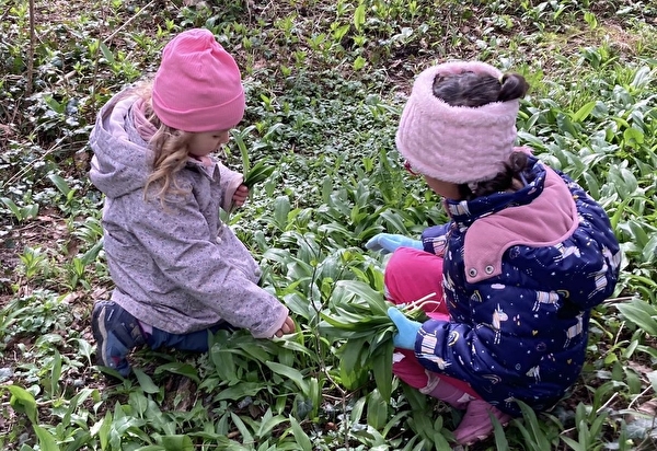 Den Jahreskreislauf in der Natur erleben