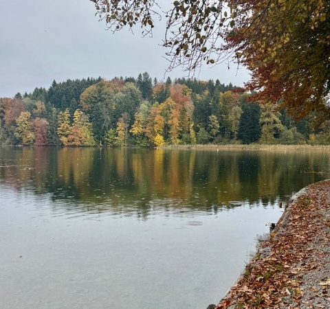 Joggen um den Türlersee