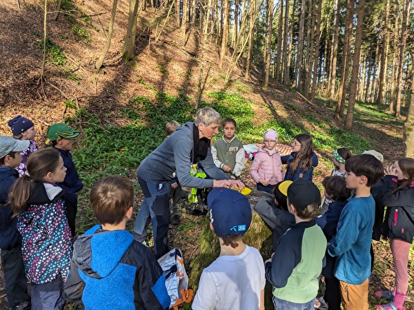 waldmorgen 1. /2. Klasse Kreiliger/Bühler