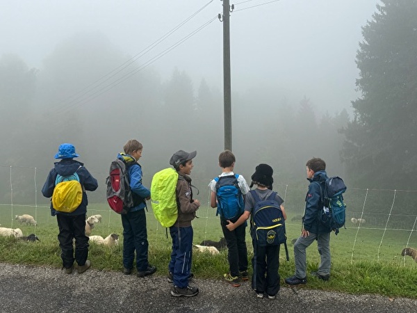 Besuch auf dem Mittelalbis 4. Klasse
