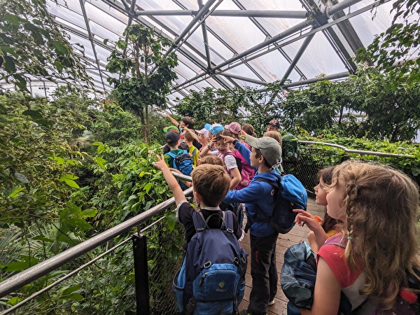 Schulreise in den Zoo Zürich am 14. Juni 2024