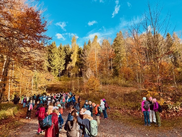 Herbstwanderung 2025