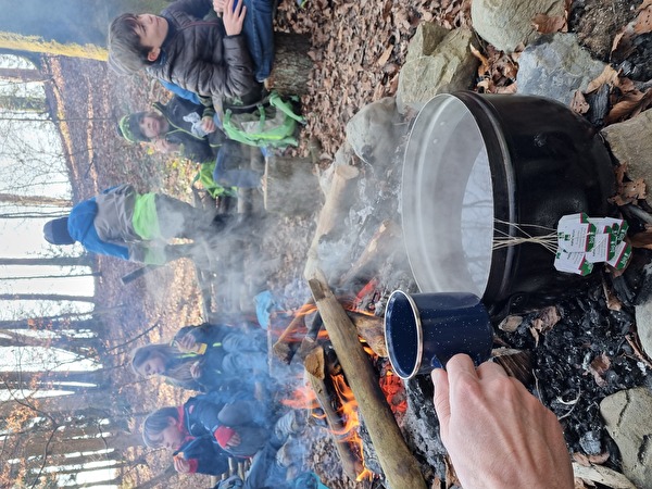 Waldmorgen 4. Klasse Sachs, März