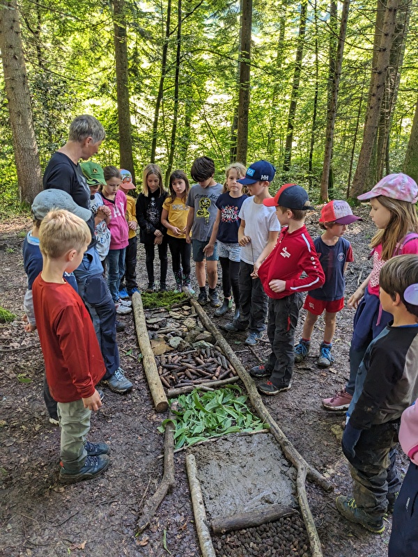 Waldmorgen mit Dania Hürlimann, 5. Juli 2024