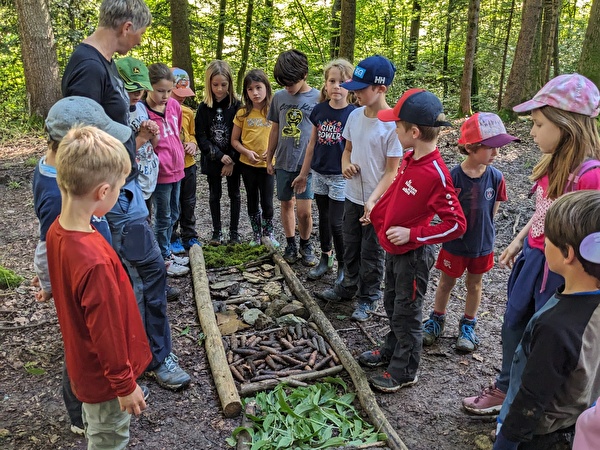 Waldmorgen mit Dania Hürlimann, 5. Juli 2024