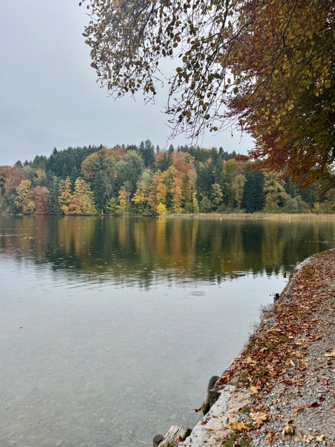 Joggen um den Türlersee