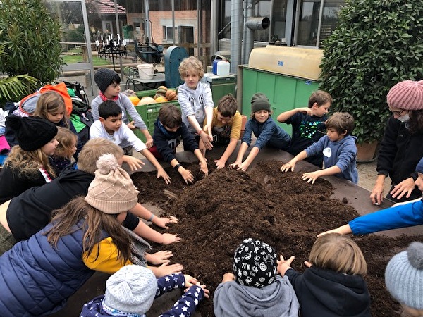 Besuch in der Baumschule 3. Klasse