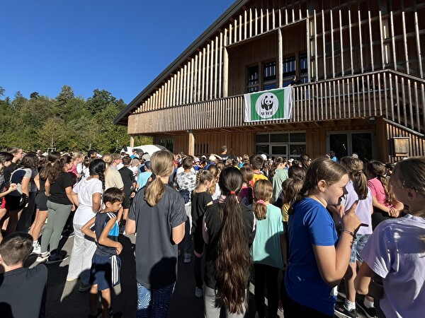 Laufen für die Wildbienen