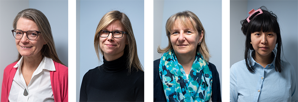 Team Bibliothek