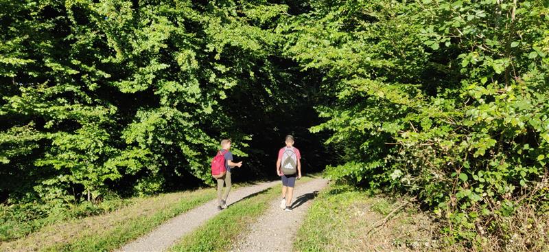 auf dem Weg nach Dielsdorf