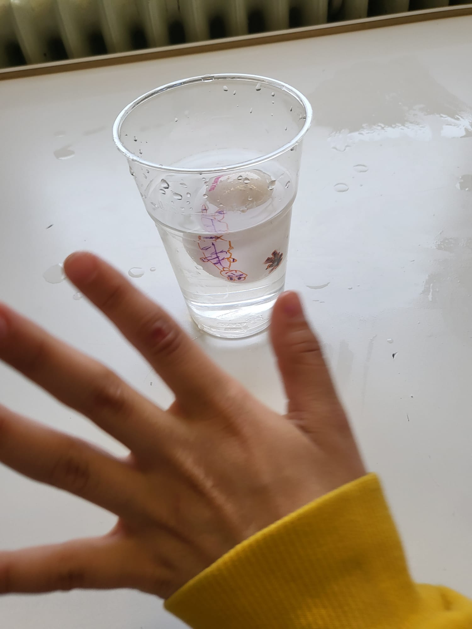 Experiment Totes Meer