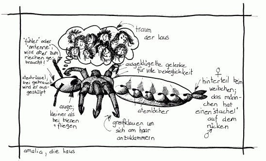 Kopflaus