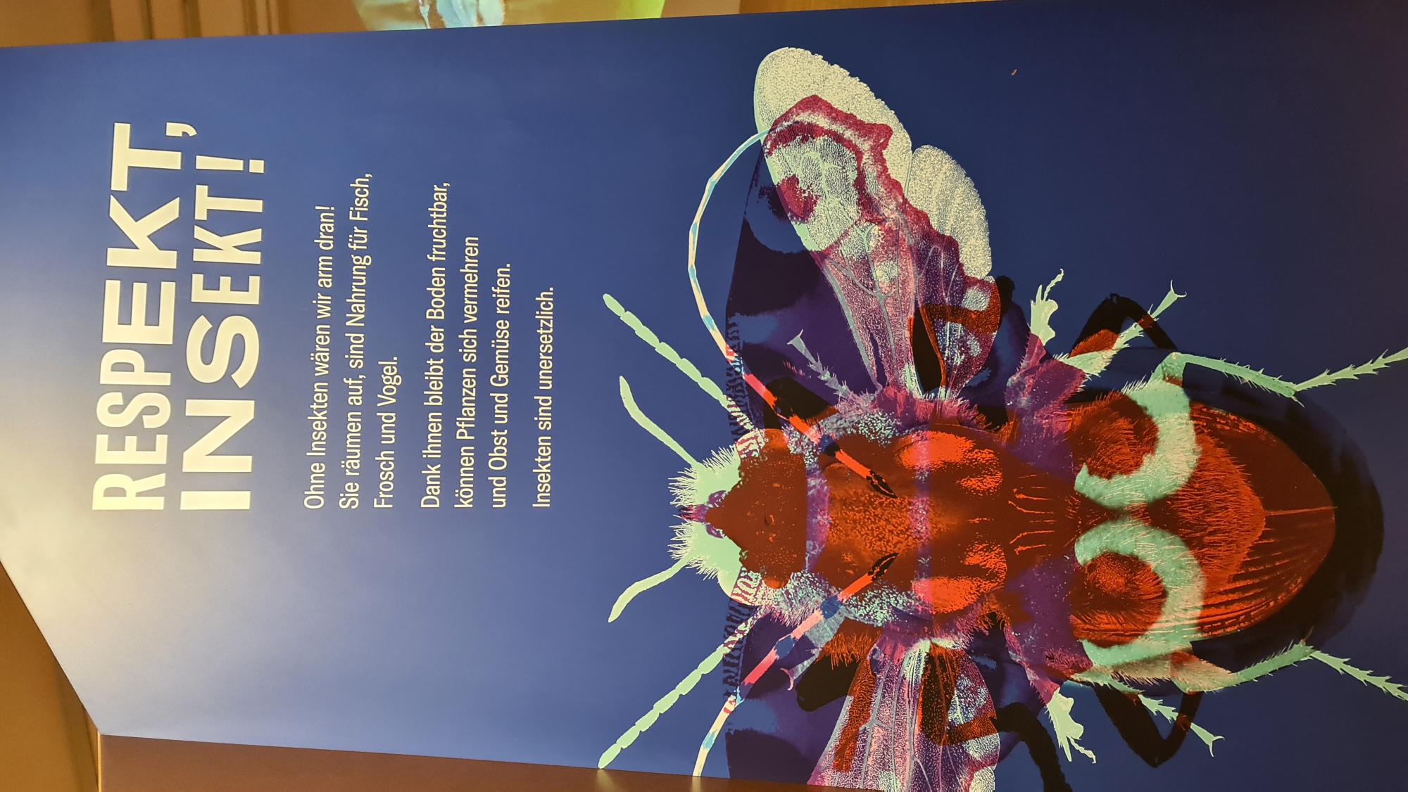 Schule Dulliken - Museumsbesuch der Klasse 1/2c