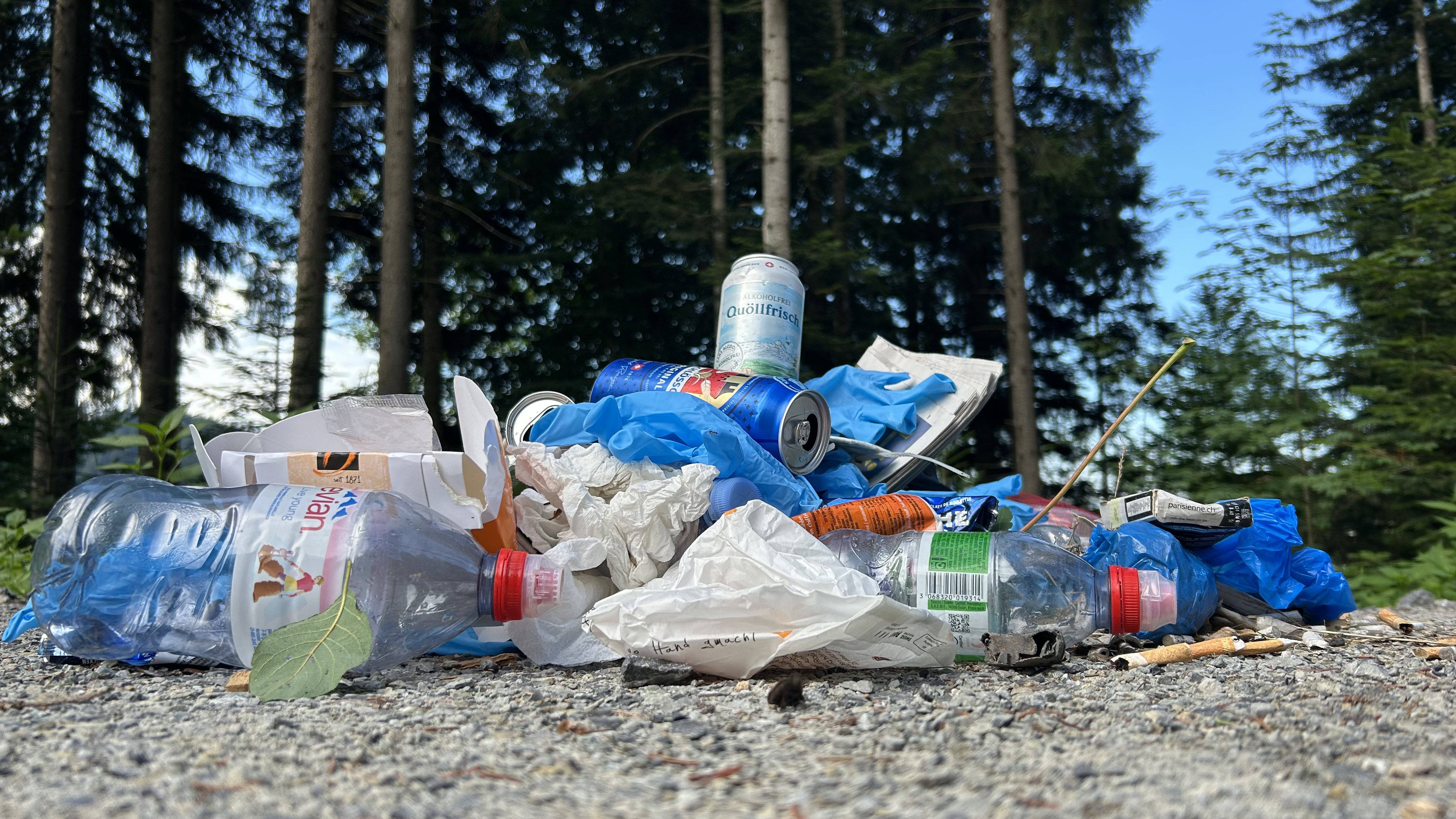 Clean-Up-Morgen4