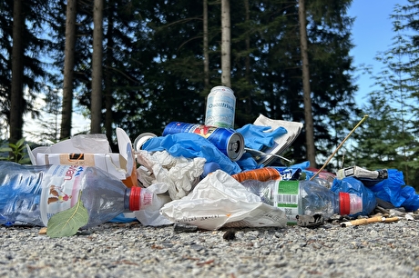 Clean-Up-Morgen