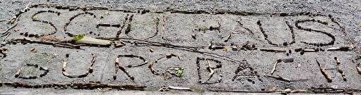 Landart mit dem Schriftzug - Schulhaus Burgbach