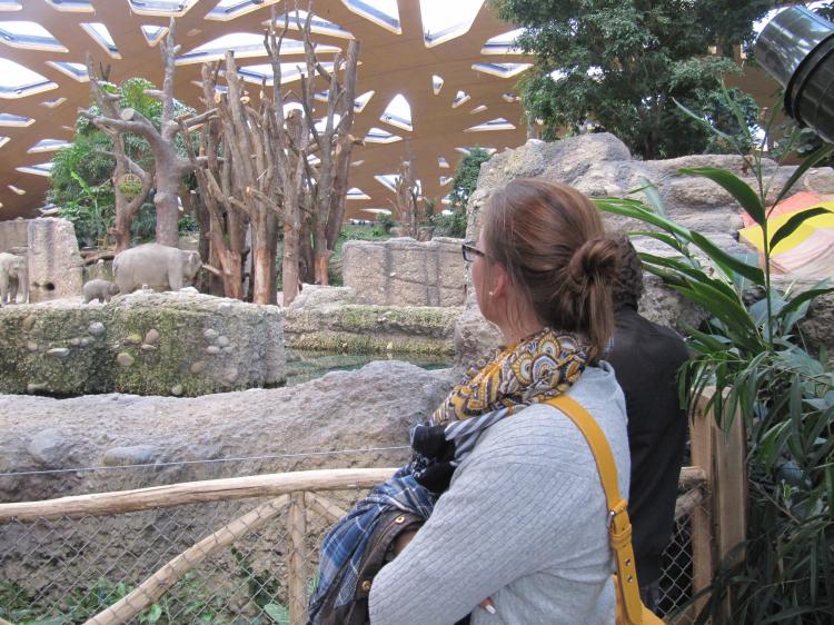 Der neue Elefantenpark im Zürcher Zoo.
