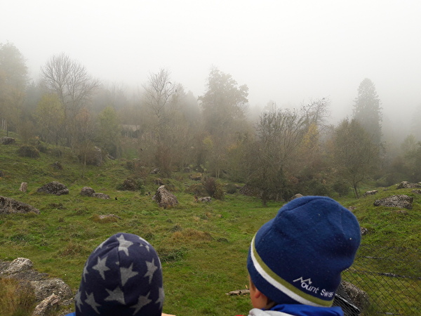 Hügelige Landschaft, Steine, grünes Gras, Schüler beobachten Tiere