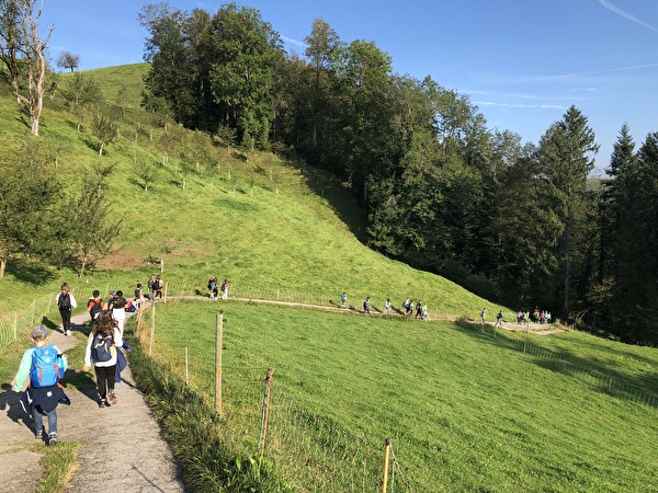 hinunter zur Sihl