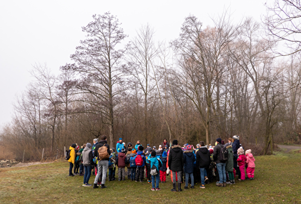 Empfang der Gruppenaufträge