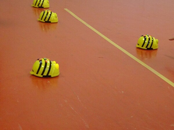 Bee Bot Rennen