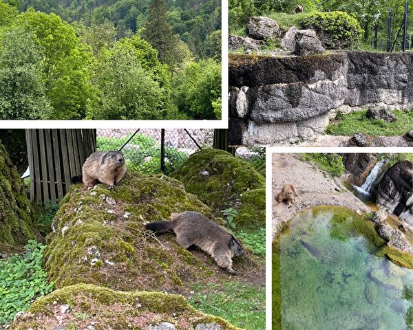 Tierpark