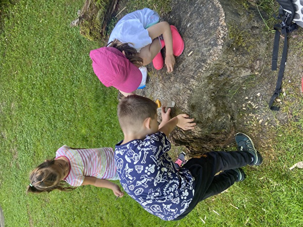 Kinder um einen Baumstumpf, beobachten Wasser im Reagenzglas