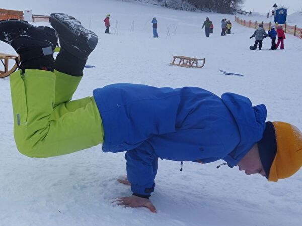 Turtle Freeze im Schnee