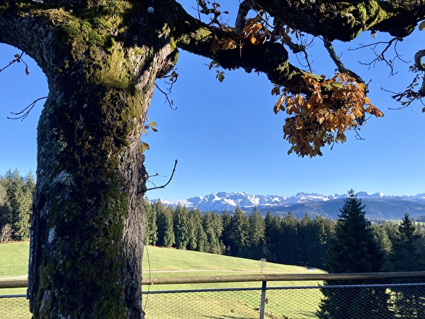 Endlich Sonnenschein