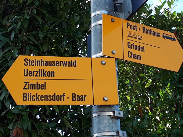 Steinhauserwald
