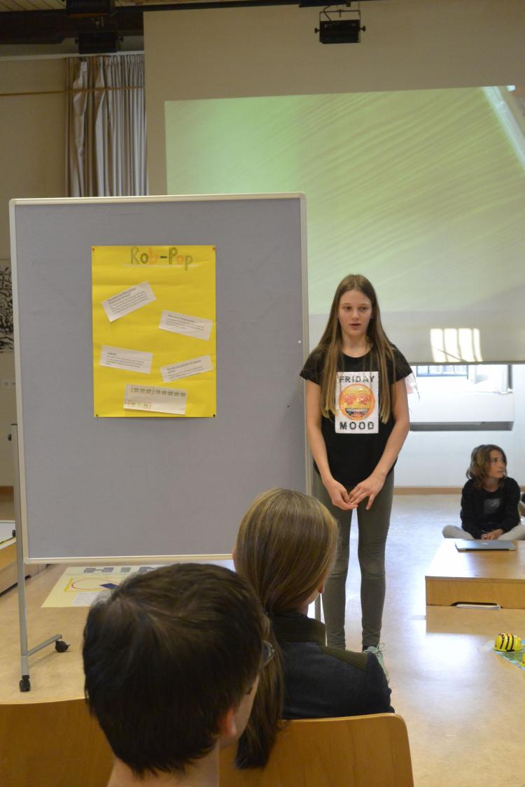 Projekt POP 2
