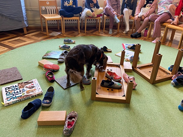 Schulhund sucht zwischen den Schuhen am Boden