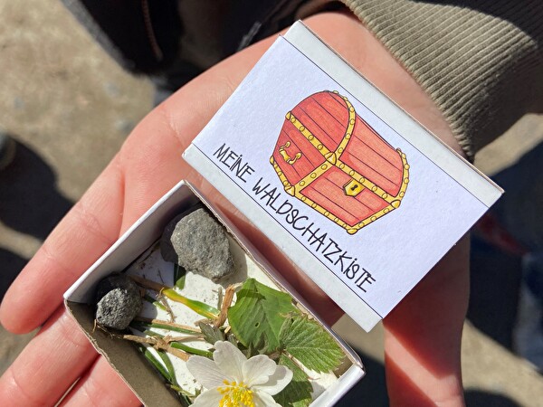 Blumen und Steine in einer Schatzkiste