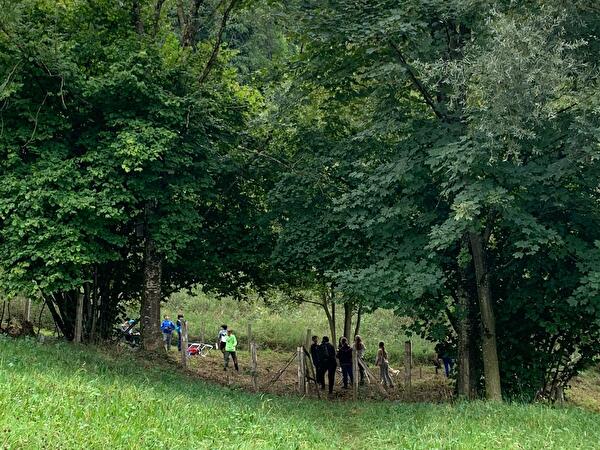 Leben im und am Weiher