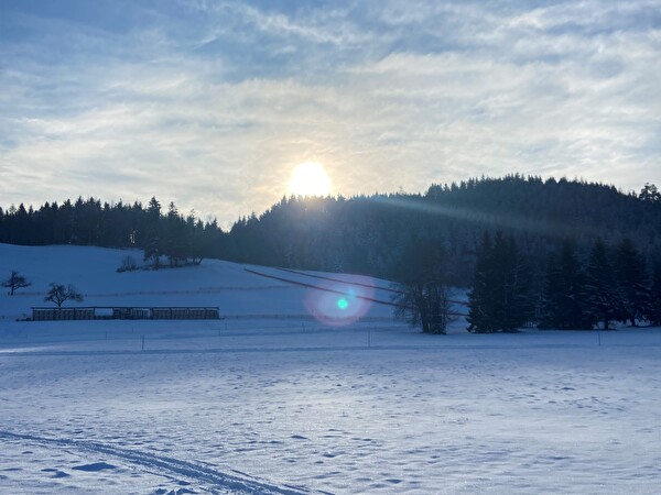 Zugerberg im Schnee und Sonnenstrahlen