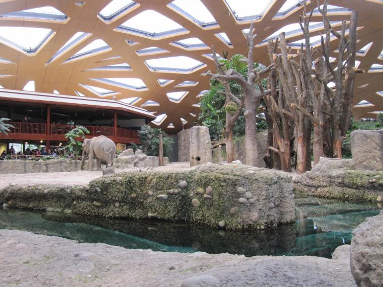 Der neue Elefantenpark im Zürcher Zoo.