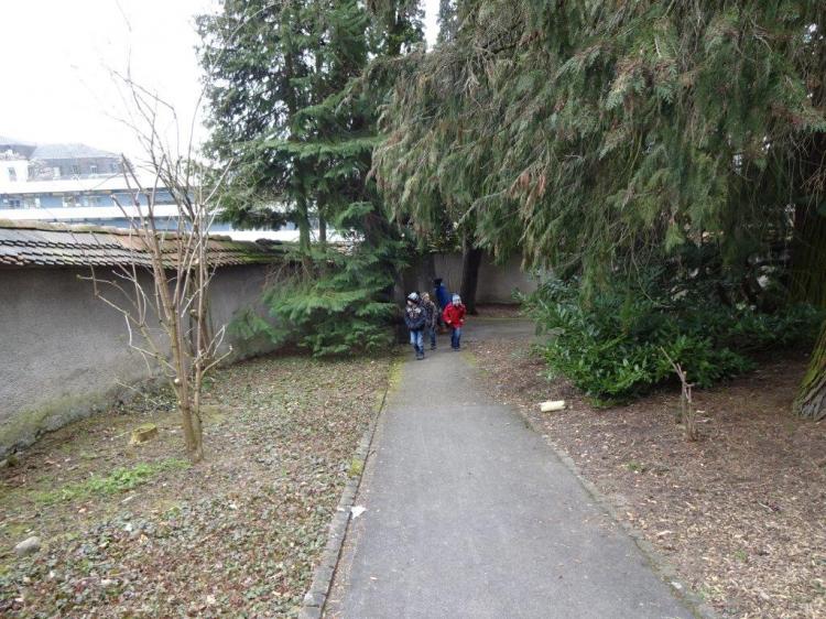 Auf dem Schulhausareal wird hinter jeden Baum, Mauer, Gebüsch etc. gesucht.