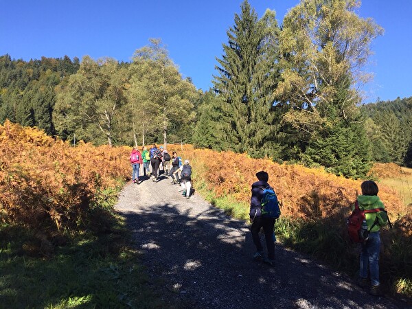 Herbstwanderung Letzi
