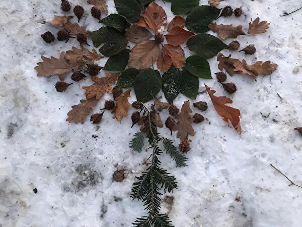 Mandala aus Blättern und Ästen im Schnee