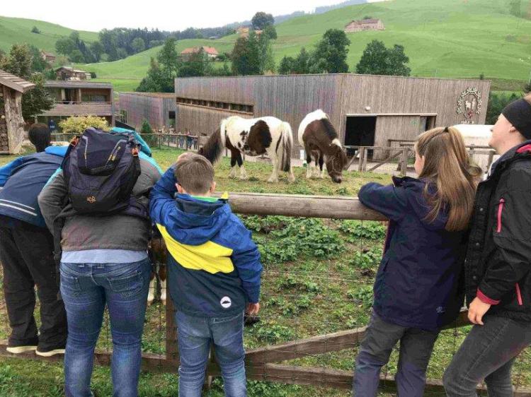 Wir besuchten die Tiere im Reka-Dorf
