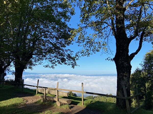 Auf dem Zugerberg ein Blick ins Nebelmeer