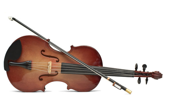 Viola