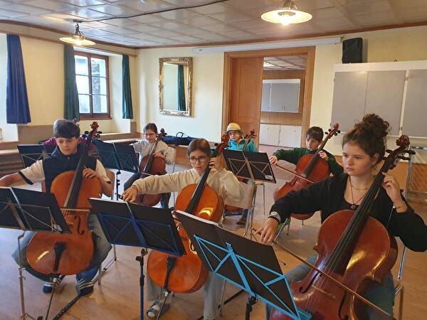 Probeweekend Streicherensemble