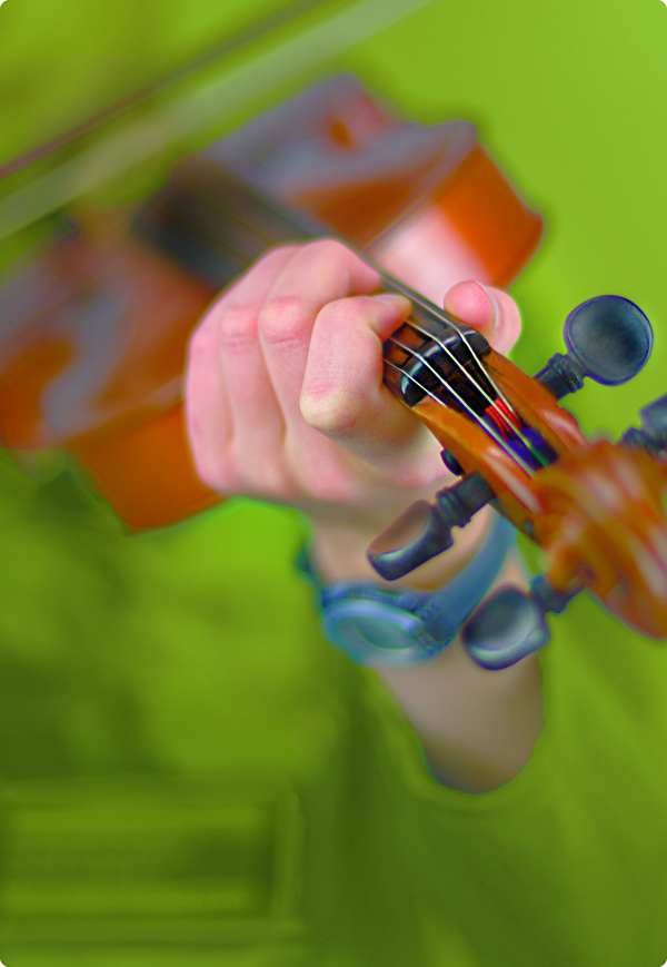 Jahresbericht 2024-2025