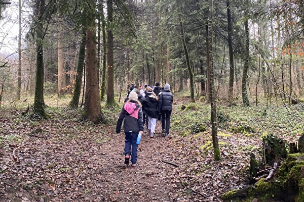 Die Schülerinnen und Schüler spielten im Wald ein grossartiges Gruppenspiel, das den Namen «Herr der Ringe» trug. (Bild: Schule Kloten, RM)