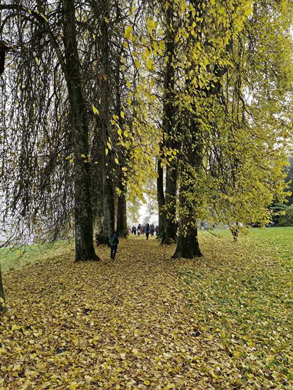 Herbstwanderung, 17. Oktober 2024