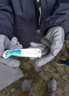 Cleanupday2