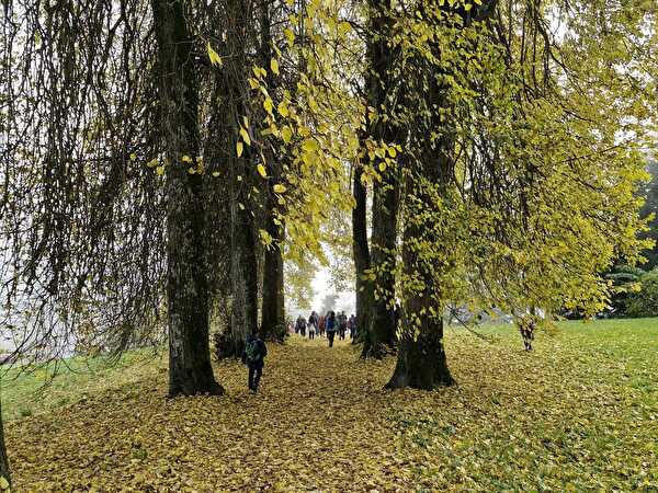 Herbstwanderung, 17. Oktober 2024