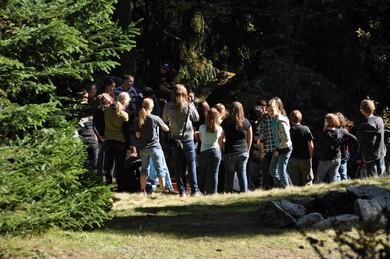 Auch dieses Jahr ist das Nummernspiel im Wald sehr beliebt bei den Schülerinnen und Schülern.